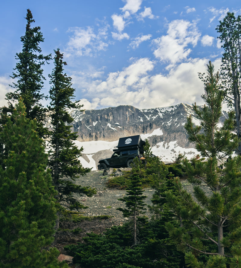 Load image into Gallery viewer, Expedition Max