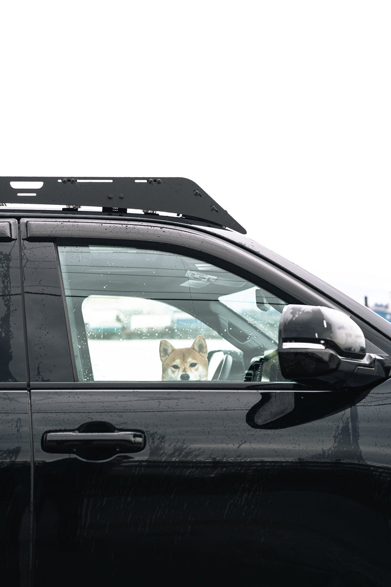 Load image into Gallery viewer, 2023-2025 Toyota Sequoia Roof Rack
